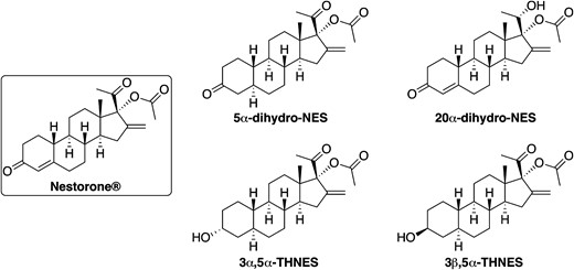 Structures of NES and its tentative metabolites identified by in vitro metabolism studies. Reference metabolites were custom synthesized and used for metabolite profiling, PR transactivation, and GABAA receptor binding studies.