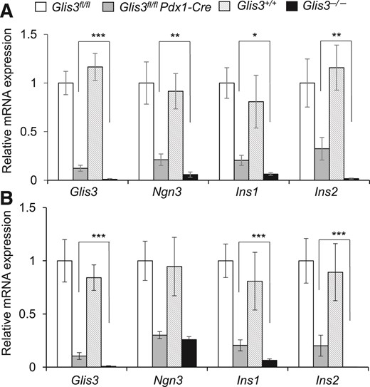 The residual dosage of Glis3 in the knockout mice determines the phenotype. The mRNA expression of Glis3, Ngn3, Ins1, and Ins2 in the E15.5 (A) and newborn (B) pancreata (N = 6), *P < 0.05; **P < 0.01; ***P < 0.001.