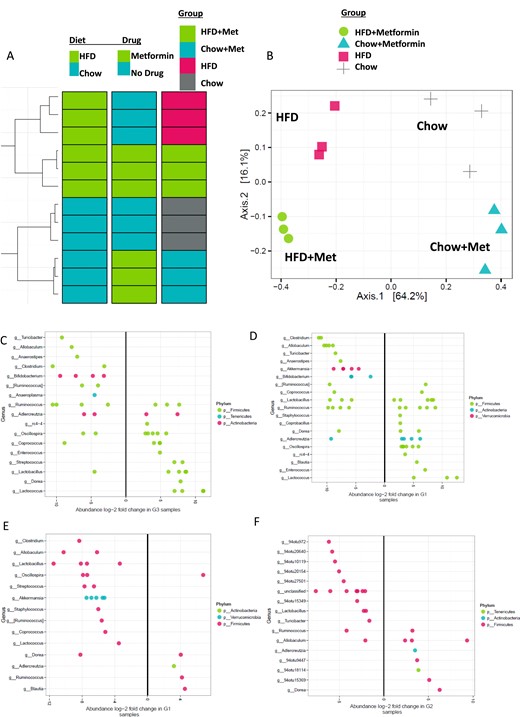 Cluster analysis of gut microbiome from 16S rRNA sequencing. 16S sequencing was performed on feces-derived DNA. (A) Hierarchical clustering revealed diet and drug effects to be driven mostly by diet, and secondarily by metformin. (B) Principal component analysis of microbial compositions demonstrated that diet is the overwhelming driver of each sample’s microbial community composition. Within each diet, metformin (met) treatment influences the microbiota composition. Abundance long-twofold changes for OTUs in (C) HFD vs chow, (D) HFD + met vs HFD + chow, (E) HFD + met vs HFD, and (F) chow + met vs chow mice. n = 3 mice.