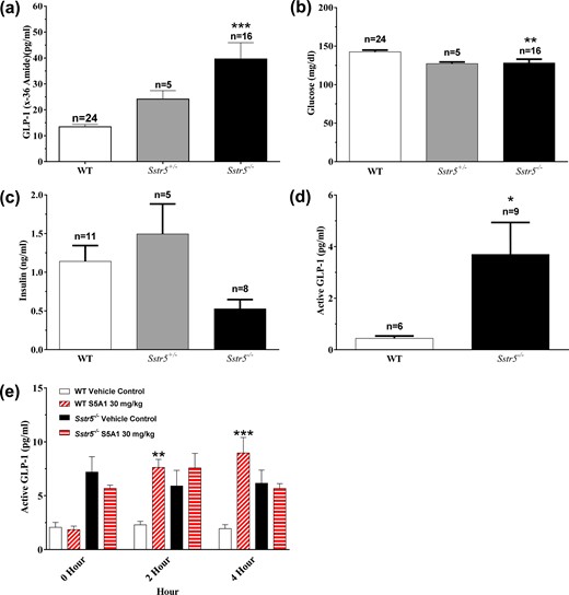 Sstr5−/− mice had increased circulating GLP-1 levels along with decreased nonfasted glucose and insulin levels, and lacked S5A1-stimulated GLP-1 secretion. Nonfasted (a) GLP-1, (b) glucose, and (c) insulin in Sstr5−/− mice compared with WT littermates at 7 to 15 weeks of age. (d) Nonfasted active GLP-1 levels in Sstr5−/− mice at 19 months of age compared with WT littermates. (e) Effects of S5A1 in Sstr5−/− mice and WT littermates on overnight-fasted active GLP-1 levels (n = 5 to 6 per group). Data shown as mean ± standard error of the mean. *P < 0.05; **P < 0.01; ***P < 0.001.