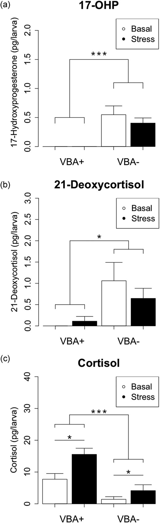 Zebrafish cyp21a2 mutants have impaired steroidogenesis. Measurement of baseline and stress-induced concentrations of steroid hormones in 120-hpf cyp21a2uob2122 VBA+ (wild-type) and VBA− (mutant) larvae by UPLC-MS/MS. (a) 17-OHP concentrations are significantly higher in VBA− (mutant) larvae than in VBA+ (wild-type) larvae, and levels are not significantly altered by stress treatment (two-way ANOVA: genotype F = 29.71, df = 1,8, ***P = 0.0006; stress F = 0.68, df = 1,8, P = 0.433; genotype/stress F = 0.68, df = 1,8, P = 0.433). n = 3 each. (b) 21-Deoxycortisol concentration is significantly higher in VBA− (mutant) larvae than in VBA+ (wild-type) larvae and is not significantly altered by stress treatment (two-way ANOVA: genotype F = 9.97, df = 1,8, *P = 0.013; stress F = 0.36, df = 1,8, P = 0.565; genotype/stress F = 1.08, df = 1,8, P = 0.329). n = 3 each. (c) Cortisol concentration is significantly lower in VBA− (mutant) larvae than in VBA+ (wild-type) larvae, and levels are significantly increased by stress treatment (ANOVA: genotype F = 28.63, df = 1,8, ***P = 0.0007; stress F = 10.19, df = 1,8, *P = 0.013; genotype/stress F = 2.35, df = 1,8, P = 0.163). n = 3 each.