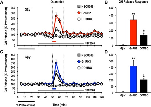 Effects of the Gβγ-binding inhibitor NSC8668 (Gβγ−; 10 μM) on GH release responses stimulated by (A, B) GnRH2 (100 nM) or (C, D) GnRH3 (100 nM). GH release profiles are shown in the left panel (A, C: gray solid square, inhibitor alone; red solid diamond, GnRH2 alone; blue solid diamond, GnRH3 alone; open circle, GnRH + inhibitor) and quantified net GH responses are shown on the right (B, D: mean ± standard error of the mean). Duration of GH release response quantification is indicated by the vertical dotted lines. GH release responses were expressed as a percentage of the pretreatment values (% pretreatment, average of the first 5 perifusion fractions collected; black horizontal bar; 9.18 ± 0.43 ng/mL). Pooled responses are shown from 4 experiments (n = 8) using individual cell preparations from goldfish with gonads that were at a sexually matured/prespawning stage (April). The solid gray horizontal bar indicates the duration of the inhibitor treatment, whereas the red (GnRH2) or blue (GnRH3) horizontal bar represents the 5-minute exposure to either GnRH. Treatments that were significantly different from one another are identified by different symbols (** vs ‡; analysis of variance followed by Tukey’s honest significant difference multiple comparisons; P < 0.05).