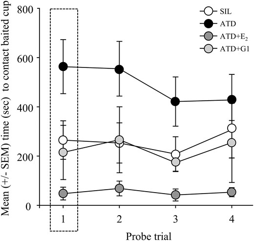 Mean (±SEM) latency to contact the baited cup over the course of the probe trials. Note the highlighted first trial, in which ATD+E2 birds took significantly less time to locate the baited cup than ATD-treated animals. Over the course of the probe trials, animals treated with ATD took significantly more time to reach the baited cup than SIL and ATD+E2 birds, and ATD+E2-treated animals performed significantly better than those given ATD+G1. SEM, standard error of the mean.