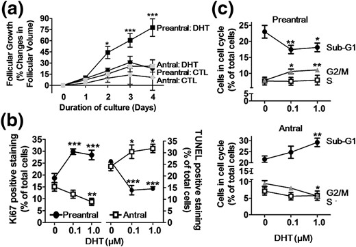 DHT-induced growth of preantral follicles but not antral follicles is associated with increased proliferation and decreased apoptosis in GCs in vitro. (a) Preantral follicles (110 to 150 μm) and antral follicle (151 to 200 μm) isolated from 13- to 14-day-old rats were cultured with or without DHT (1 μm; 4 days). Results are expressed as change in follicular volume and as means ± standard error of the mean of 80 follicles (n = 3 replicates for each experiments with 30/30/20 follicles per group). Data were analyzed by three-way ANOVA and Bonferroni post hoc test. In preantral follicles: *P < 0.05; ***P < 0.001 versus CTL. In antral follicles: P > 0.05 versus CTL. (b) GCs, isolated from preantral and antral follicles of 21-day-old rats injected with diethylstilbestrol (1 mg/d, subcutaneously, 3 days) and pregnant mare's serum gonadotropin (10 IU, intraperitoneally; 48 hours), respectively, were cultured with DHT (0 to 1 µm, 24 hours). Proliferating and apoptotic cells were determined by Ki67-IF and TUNEL assay, respectively, and expressed as percentage of total cells. Data were analyzed by two-way ANOVA and Bonferroni post hoc test. *P < 0.05; **P < 0.01; ***P < 0.001 versus CTL. (c) Flow cytometric analysis of cell cycle progression with propidium iodide. Data were analyzed by one-way ANOVA and Bonferroni post hoc test. *P < 0.05; **P < 0.01; ***P < 0.001 versus CTL.