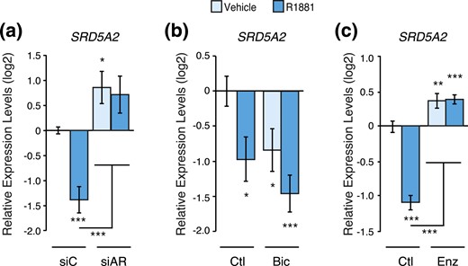 Genetic and pharmacological inhibition of AR blocks SRD5A2 gene modulation by androgens. Relative mRNA expression levels of SRD5A2 in LNCaP cells following a 48-hour treatment with R1881 or vehicle following AR knockdown by siRNAs (a) or inhibition by bicalutamide (b) or enzalutamide (c). Results are shown as the mean ± SEM of two independent experiments performed in triplicate. Control cells treated with vehicle were set at 0. *P < 0.05, **P < 0.01, and ***P < 0.001. Bic, bicalutamide; Ctl, control; Enz, enzalutamide; siAR, siRNA pool targeting AR; siC, control siRNA.