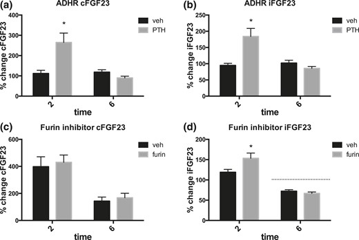 Effects of PTH injection in ADHR mice or in animals pretreated with the furin inhibitor 537076 (at concentration 7.5 μg/g) or PBS vehicle. (a) cFGF23 and (b) iFGF23 changes after PTH injection (50 nmol/kg), or vehicle (10 mm citric acid, 150 mm NaCl, 0.05% Tween 80, pH 5.0) in ADHR mutant mice. n = 6–8 per group. Baseline cFGF23 levels in ADHR mutant mice in different experiments ranged between 190 ± 13 and 281 ± 19 pg/mL, and peak cFGF23 levels ranged between 485 ± 78 and 1242 ± 239 pg/mL, whereas baseline iFGF23 levels in ADHR mutant mice in different experiments ranged between 262 ± 23 and 345±18 pg/mL, and peak iFGF23 levels ranged between 450 ± 25 and 975 ± 149 pg/mL. Changes in cFGF23 and iFGF23 levels are reported as percentage of change from baseline. (c) cFGF23 and (d) iFGF23 levels in WT mice all injected with PTH; furin refers to mice pretreated with furin inhibitor, and vehicle refers to mice pretreated with vehicle as described. n > 4 mice per group. *P < 0.05. Hashed line shows 100% of baseline.