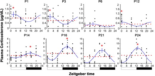 Circadian plasma corticosterone concentrations (μg/dL) at ZT0, 4, 8, 12, 16, and 20 in rats during postnatal ontogenesis at P1, P3, P6, P12, P14, P16, P21, and P24. Dotted line: mesor; solid line: cosine curve and 95% confidence interval of acrophase. *Differences between peak and mesor concentrations. Black bars represent dark phase.