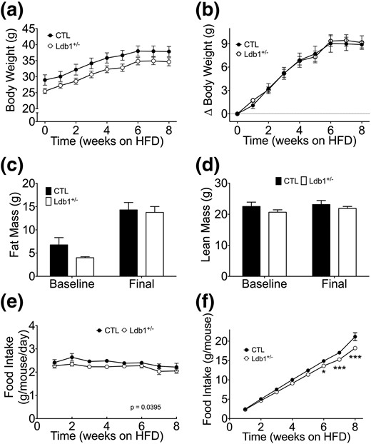 Energy balance during HF feeding in Ldb1+/− and control (CTL) littermates. (a) Average weekly body weight. (b) Change in body weight from the onset of HF feeding. (c) Fat mass. (d) Lean mass. (e) Average weekly food intake. (f) Cumulative food intake throughout the study period. Data represented as mean ± SEM. *P < 0.05; ***P < 0.001; n = 10 to 14 mice/group.