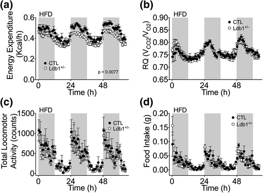 Indirect calorimetry analysis of Ldb1+/− and control (CTL) littermates on HFD at 26°C. (a) Circadian EE (kcal/h). (b) RQ (VCO2/VO2). (c) Total locomotor activity (counts). (d) Food intake (g/mouse). Data represented as mean ± SEM (n = 5 mice/group).