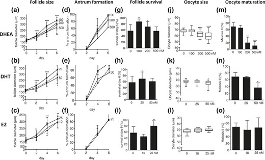 Effect of increasing concentrations of DHEA supplementation (100, 200, and 500 nM) and increasing concentrations of DHT (25 and 50 nM) and E2 (10 and 25 nM) supplementation versus control (dotted lines) on follicle and oocyte biology during culture, with regard to (a–c) follicle size, (d–f) antrum formation rate, (g–i) follicle survival, (j–l) oocyte size, and (m–o) oocyte nuclear maturation status. Data (n = 31 to 170 follicles/condition) are expressed as mean ± standard deviation for diameter, antrum formation, survival, and meiotic maturation. Oocyte size is presented in box and whisker plots, with boxes representative of the interquartile range and whiskers representative of the 5th and 95th percentiles. *P < 0.05; **P < 0.01; ***P < 0.001; ****P < 0.0001.