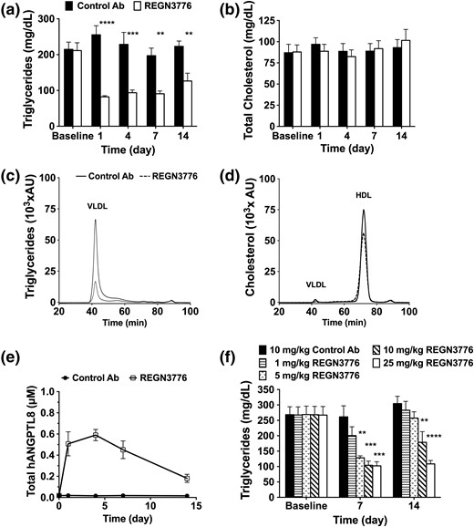 REGN3776 reduces serum TG in Angptl8hum/hum mice. Serum samples were collected from nonfasted male Angptl8hum/hum mice (n = 5 per group) 7 days before (baseline) and at the indicated days following a single SC injection of REGN3776 or control antibody (10 mg/kg). Serum TG (a) and cholesterol (b) were measured enzymatically. Serum from each mouse collected 7 days after treatment with REGN3776 or control antibody was size fractionated by HPLC. TG (c) and cholesterol (d) were measured in each fraction. (e) Total (free plus antibody-bound) serum levels of human ANGPTL8 were measured by enzyme-linked immunosorbent assay. (f) Dose-dependent lowering of serum TGs by REGN3776 in chow-fed Angptl8hum/hum mice measured 7 and 14 days after antibody administration. Values are mean ± standard error of the mean, except for the chromatograms, where only mean values are shown. Statistical analysis was conducted by a two-way analysis of variance with a Sidak correction posttest. **P < 0.01, ***P < 0.001, ****P < 0.0001.