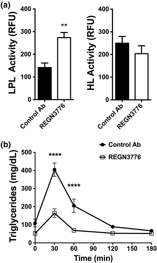 REGN3776 increases LPL activity and improves TG clearance in Angptl8hum/hum mice. (a) Post-heparin plasma LPL and HL activity of chow-fed Angptl8hum/hum mice treated with REGN3776 or control antibody (10 mg/kg, n=5/group). Post-heparin plasma was pooled and fractionated on a heparin column to separate HL and LPL, and TG hydrolase activity was measured. (b) Effect of REGN3776 treatment on plasma TG levels following a lipid tolerance test. Male Angptl8hum/hum mice were treated with REGN3776 or control antibody (10 mg/kg, n = 5 per group) 4 days prior to the intravenous administration of Intralipid (2.5 µL/g of 20% Intralipid). Values are mean ± SEM. Statistical analysis was conducted by a Welch t test (a) and repeated measures two-way ANOVA with a Bonferroni’s posttest (b). **P < 0.01, ****P < 0.0001.