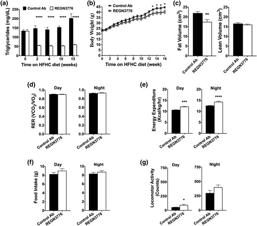 Multiple dose administration of REGN3776 reduces serum TGs, body weight, and fat content and increases energy expenditure in Angptl8hum/hum mice. Serum samples were collected from male Angptl8hum/hum mice (n = 8 per group, 7 weeks old) in nonfasted state. Thereafter, the mice were placed on an HFHC diet. Seven days later, the mice received weekly SC injections of REGN3776 or control antibody (10 mg/kg). Serum samples were collected nonfasted 6 days after each injection. (a) Changes in TG measured over the course of the study. (b) Body weights were monitored weekly. (c) Body composition was measured at 15 weeks. Respiratory exchange ratio (RER) (d), energy expenditure (e), food intake (f), and locomotor activity (g) were measured during dark and light cycles in REGN3776 and control antibody-treated mice. All values are mean ± SEM. Statistical analysis was conducted by repeated measures two-way ANOVA with a Bonferroni correction posttest (a and b) or a Welch t test (c–g). *P < 0.05, **P < 0.01, ***P < 0.001, ****P < 0.0001.