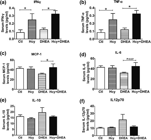 Effects of Hcy and DHEA on the expression of inflammation-related cytokines. The serum levels of (a) IFN-γ, (b) TNF-α, (c) MCP-1, (d) IL-6, (e) IL-10, and (f) IL-12p70 of mice exposed to control, Hcy, DHEA, or Hcy + DHEA for 20 days. *P < 0.05, one-way analysis of variance, with Tukey’s post hoc test. Ctl, control.
