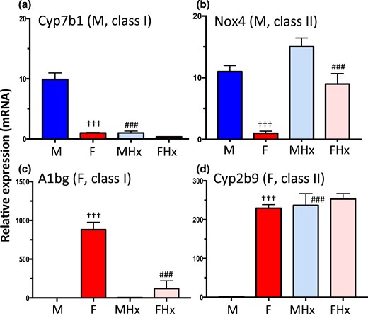 Classification of pituitary hormone-dependent sex-biased genes. RT-qPCR analysis of total liver RNA using gene-specific mRNA primers for the indicated class I and class II sex-biased genes, defined based on the effects of hypophysectomy on gene expression (see text). (a) Cyp7b1, a class I male-biased gene, is dependent on the male pituitary hormone profile, as indicated by its decreased expression in male liver after hypophysectomy. (b) Nox4, a class II male-biased gene, is repressed by the female pituitary profile, and is thus strongly de-repressed (i.e., upregulated) in female liver following hypophysectomy. (c) A1bg, a class I female-biased gene, shows decreased expression in female liver after hypophysectomy. (d) Cyp2b9, a class II female-biased gene, is repressed by the male pituitary profile, and thus is strongly de-repressed in male liver following hypophysectomy. Data shown are mean ± SEM values based on n = 9 livers per group. The relative expression level was set to 1 for the female liver samples (a and b) or for the male liver samples (c and d). Significance values (ANOVA) are marked as described in the Fig. 2 legend.