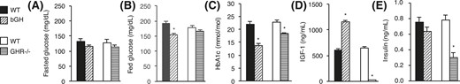 Blood parameters in bGH and GHR−/− mice. (A) Fasting blood glucose, (B) fed blood glucose, (C), HbA1c, (D) IGF-1, and (E) insulin levels are shown for bGH mice (diagonal-hatched bars) and WT control mice (black bars) (n = 10 per group) and for GHR−/− mice (horizontal-hatched bars) and WT control mice (white bars) (n = 8 per group). Values are expressed as mean ± standard error of the mean; *P < 0.05.
