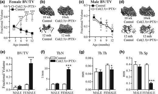 MicroCT assessment of cancellous bone at the distal femur. Col1(2.3)+/PTX+ and Col1(2.3)+ littermate control mice were transferred from a doxycycline diet to a doxycycline-free diet at 8 weeks of age to induce PTX transgene expression in Col1(2.3)+/PTX+ mice and were aged to 12 months. (a–d) Longitudinal in vivo microCT assessment of age-related changes in cancellous BV/TV at the distal femur in Col1(2.3)+/PTX+ and littermate control mice (male mice, n = 7 per group; female mice, n = 8 per group). (b, d) Three-dimensional image reconstruction of cancellous bone at the distal femurs at baseline and at 12 months of age. (e–h) Ex vivo microCT assessment of distal femur in 12-month-old mice that did not undergo in vivo microCT (male mice, n = 6 per group; female mice, n = 4 per group). All data are presented as mean ± standard deviation. *P < 0.05 vs age-matched control mice; ***P < 0.001 vs age-matched control mice; (a) P < 0.05; (c) P < 0.001 vs baseline measurement.