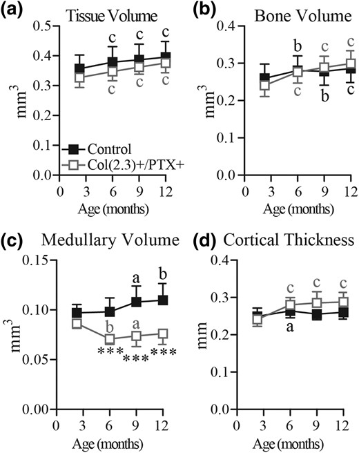 Longitudinal in vivo microCT assessment of age-related changes in cortical bone in female mice. Col1(2.3)+/PTX+ and Col1(2.3)+ littermate control mice were transferred from a doxycycline diet to a doxycycline-free diet at 8 weeks of age to induce PTX transgene expression in Col1(2.3)+/PTX+ mice. In vivo microCT was used to assess cortical bone at the TFJ at 12 weeks, and at 6, 9, and 12 months of age. The reported parameters are (a) TV, (b) BV, (c) medullary volume, and (d) cortical thickness. All data are presented as mean ± standard deviation (n = 8 per group). Statistical comparisons were made vs baseline measurement. ***P < 0.001 vs littermate control mice; (a) P < 0.05; (b) P < 0.01; (c) P < 0.001.