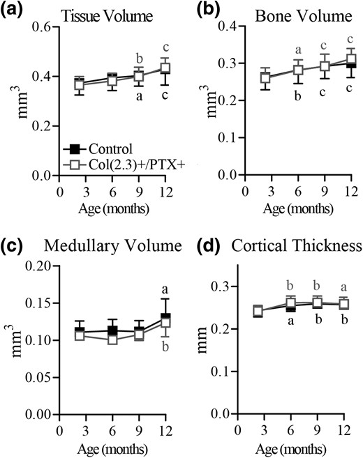 Longitudinal in vivo microCT assessment of age-related changes in cortical bone in male mice. Col1(2.3)+/PTX+ and Col1(2.3)+ littermate control mice were transferred from a doxycycline diet to a doxycycline-free diet at 8 weeks of age to induce PTX transgene expression in Col1(2.3)+/PTX+ mice. In vivo microCT was used to assess cortical bone at the TFJ at 12 weeks, and at 6, 9, and 12 months of age. The reported parameters are (a) TV, (b) BV, (c) medullary volume, and (d) cortical thickness. All data are presented as mean ± standard deviation (n = 7 per group). Statistical comparisons were made vs baseline measurement. (a) P < 0.05; (b) P < 0.01; (c) P < 0.001.