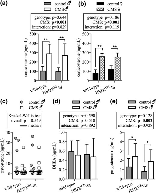 Hormone levels in male and female mice. Serum concentrations of CS in (a) male and (b) female WT and HSD2OB-tg mice following 28 days of exposure to CMS (n = 11 per group for males, n = 8 per group for females) are shown. Serum concentrations of (c) testosterone, (d) DHEA, and (e) the CS precursor progesterone in male mice at endpoint (n = 11 per group for all) are shown. In (a, b,d, e), data are presented as mean ± SD. (c) Testosterone data follow a nonparametric distribution and are displayed as scatter plot and median. Data were analyzed by (a, b, d, and e) two-way ANOVA followed by a Holm–Sidak post hoc test and (c) by a Kruskal–Wallis test. *P < 0.05, **P < 0.01 vs genotype-matched control.