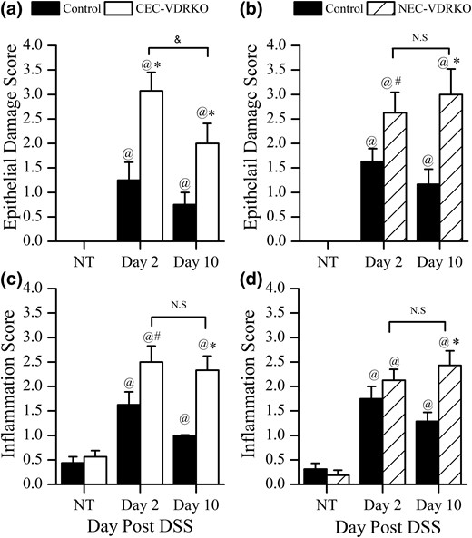 Histologic evaluation of the distal colon at 2 or 10 day after completion of a 5-day treatment with 1.35% DSS. Colon epithelial damage score in (a) control and CEC-VDRKO mice (n = 8 per group) (@P < 0.05 versus NT; *P < 0.05 versus control; &P < 0.05 versus day 2) or (b) control and NEC-VDRKO mice (n = 8 per group) (@P < 0.05 versus NT; *P < 0.05 and #P < 0.10 versus control). Colon inflammation score in (c) control and CEC-VDRKO mice (n = 8 per group) (@P < 0.05 versus NT; *P < 0.05 and #P < 0.10 versus control) and (d) control and NEC-VDRKO mice (n = 8 per group) (@P < 0.05 versus NT; *P < 0.05 versus control). NS, not significant.