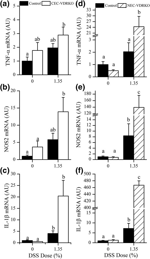 Expression of M1 Mɸ-associated mRNAs in the distal colon 10 day after removal DSS. (a) TNF-α, (b) NOS2, and (c) IL-1β mRNA levels in the colon of control and CEC-VDRKO mice. (d) TNF-α, (e) NOS2, and (f) IL-1β mRNA levels in the colon of control and NEC-VDRKO mice (n = 8 per group). Bars with different letter superscripts are significantly different at P < 0.05. AU, arbitrary units.