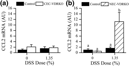 Effect of VDR deletion from colon epithelial cells (a, CEC-VDRKO) or nonepithelial cells (b, NEC-VDRKO) on colonic CCL2 mRNA levels in the distal colon 10 days after removal of DSS (n = 8 per group). Bars with different letter superscripts are significantly different at P < 0.05.