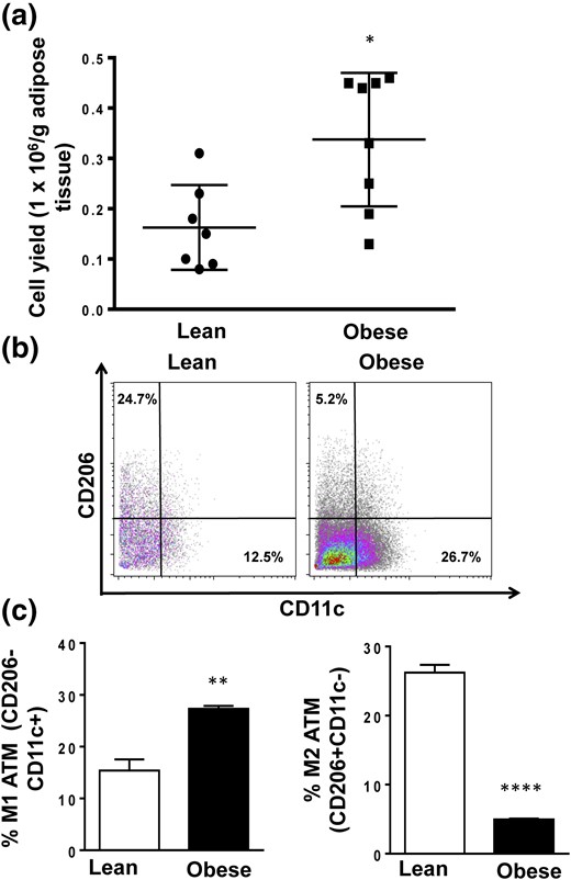 M1 and M2 macrophage cell proportions from lean and obese mice. (a) The ATM yield from lean and obese mice is presented as numbers of cells per gram of adipose tissue. (b and c) Proportions of M1 and M2 populations in ATMs from lean and obese mice were measured with flow cytometry. Data are presented as mean ± SEM (n = 6). Asterisks indicate significant differences from lean mice: *P < 0.05; **P < 0.01; ****P < 0.0001.