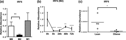 IRF6 expression profiles in ATMs and during macrophage polarization. (a) IRF6 expression following 48 hours of M0, M1, and M2 polarization (n = 4), (b) IRF6 expression from 5 to 72 hours post–M2 activation (n = 5), and (c) expression of IRF6 in naive lean and obese ATMs are shown. Data are presented as mean ± SEM (n = 4). Asterisks indicate significant differences from M0 macrophages (a) or from 0 hours (b), or from lean mice (c): *P < 0.05; **P < 0.01; ****P < 0.0001.