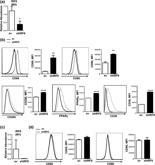 IRF6 suppression enhances M2 activation. (a) shRNA knockdown of IRF6 in M2 polarized BMDMs and (b) expression of activation-related cell surface markers CD69 and CD86 and M2-associated proteins CD206, PPARγ, and CD36, as measured by flow cytometry. (c) shRNA knockdown of IRF6 in M1-polarized BMDMs and (d) expression of activation-related cell surface markers CD69 and CD86. Data are presented as mean ± SEM (n = 6). Asterisks indicate significant differences from BMDMs transfected with empty vector: *P < 0.05; **P < 0.01; ****P < 0.0001. ev, BMDMs transfected with empty vector; MFI, mean fluorescence intensity; shIRF6, BMDMs transduced with IRF6-specific shRNA.