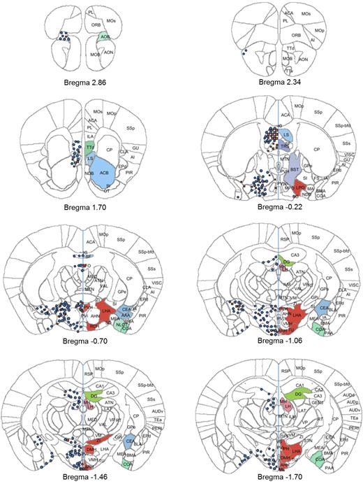 Atlas plates (bregma 2.86 to −1.70) showing distribution of signals for GLP-1R ISH (red squares) and GLP-1R IHC (blue circles). The distribution is overlaid onto digital atlas plates constructed from the AIBS mouse brain atlas. The distribution of GLP-1R mRNA and protein is indicated on the left half of the atlas plates, and brain regions with positive staining for either GLP-1R mRNA or protein are highlighted with a solid color on the right half of the atlas plates. Brain region abbreviations follow the nomenclature of the AIBS mouse brain reference atlas (24).