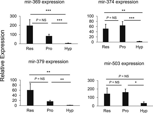 mir-369-3p, mir-374-5p, mir-379-5p, and mir-503-5p show greater expression of growth plate cartilage in the PZ than in the HZ. Growth plate cartilage from 4-day-old rats was separated into specific zones by microdissection. RNA was purified, and miRNA levels were assessed by solution hybridization (Nanostring, mean ± standard error of the mean of four biological replicates each from an individual animal). *P < 0.05; **P < 0.01; ***P < 0.001. NS, not significant.