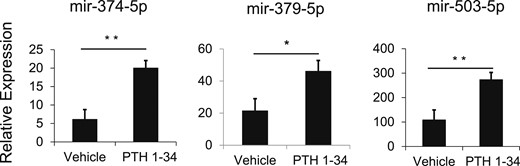 Regulation of miRNA expression by PTH1-34. Primary chondrocytes from 4-day-old rat growth plates were treated with PTH1-34, which acts as a PTH/PTHrP receptor agonist. After 6 hours of treatment, the expression (mean ± standard error of the mean) of mir-374-5p, mir-379-5p, and mir-503-5p was measured by real-time RT-PCR. Six biological replicates were performed. *P < 0.05; **P < 0.01.