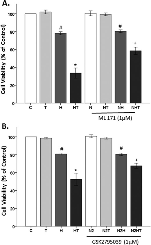 选择性NOX抑制剂对睾酮诱导的细胞丢失的影响。（A） 选择性NOX1抑制剂ML171对细胞活力没有影响。ML171未阻断H2O2诱导的细胞丢失。ML171部分阻断了OS存在下睾酮诱导的细胞丢失。（B） 选择性NOX2抑制剂GSK2795039对细胞活力没有影响。GSK2795039未阻止H2O2诱导的细胞丢失。GSK2795039部分阻断了OS存在下睾酮诱导的细胞丢失。结果以平均值±SEM报告。结果通过ANOVA确定，然后进行Fisher最小显著差异事后检验*与所有组相比P≤0.05#与对照组相比，P≤0.05+与HT组相比P≤0.05。C、 车辆控制；H、 过氧化氢；HT，后处理T；N、 ML 171；N2，GSK2795039；T、 100 nM睾酮，500 nM DHT-BSA。
