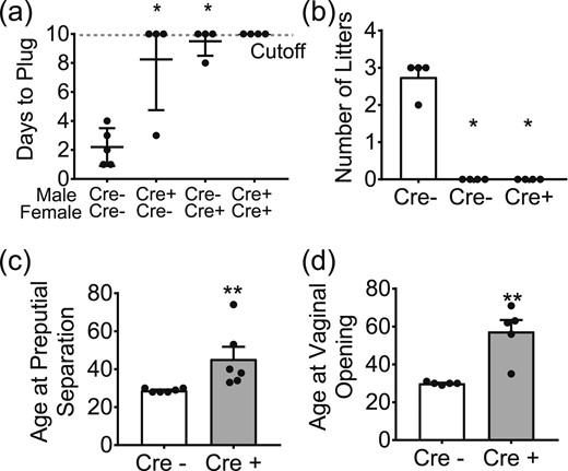 Six6flox/flox/LHRHcre mice have disrupted fertility and delayed puberty. (a) Ten-day plugging assay of mice at 3 months of age, Six6flox/flox/LHRHcre (Cre+) were mated to each other as well as Six6flox/flox (Cre−) mice and were compared with a Six6flox/flox mating (n = 3); statistical analysis by Mann-Whitney test. (b) Number of litters produced in 90-day fertility assay between Six6flox/flox/LHRHcre mice mated with Six6flox/flox, as compared with a Six6flox/flox mating (n = 3 to 6). (c) Onset of preputial separation in male mice was measured from day 20 until pubertal onset (n = 3). (d) Onset of vaginal opening was measured from day 20 until pubertal onset (n = 3). (b–d) Data were analyzed by Student t test as compared with control. *P < 0.05; **P < 0.01.
