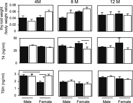 Thyroid weight/body weight ratios and serum T4 and TSH concentrations in 4-, 8-, and 12-month-old control and Atg5thyr-KO/KO mice. The thyroid glands and blood samples were obtained from 4-, 8-, and 12-month-old mice (n = 3 or 4 for each group). T4 and TSH levels were measured as described in “Materials and Methods.” The black and white bars indicate the control and Atg5thyr-KO/KO mice, respectively. Data are means ± SE. *P < 0.05. M, months.