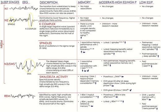 Summary of sleep physiology/stages, associations with memory, and changes related to hormonal milieu. Illustrations on the left depict EEG activity associated with each of the four stages of sleep (American Academy of Sleep Medicine (4)), and include definitions. Note that sleep staging is also conducted using concurrent EMG and EOG recordings. The right panel summarizes memory and hormone findings for rodents, nonhuman primates, and humans, denoted with blue symbols. AD = Alzheimer’s disease; E2 = 17β-estradiol; EEG = electroencephalography; EMG = electromyography; EOG = electrooculography; NREM N1-3= nonrapid eye movement stages 1-3; OVX = ovariectomized; P = progesterone; SWA = slow-wave activity; SWS = slow-wave sleep; REM= rapid eye movement.
