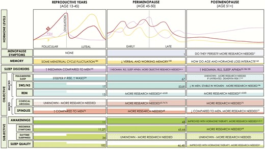 Summary of hormone levels across different reproductive states in women, and known effects on memory and sleep. Left panel summarizes findings in women of reproductive age (with normal ~28-day cycles), the middle panel for women in perimenopause, and the right panel for women in postmenopause. The top bar summarizes hormone levels during the 3 reproductive states, with menopausal symptoms, memory findings and sleep disorder prevalence underneath. Specific findings with respect to how sleep is measured are presented in the middle and lower bars. Thick colored bars within each cell indicate higher levels of symptoms/memory/sleep parameters, and colored dots indicate incomplete/unknown information. E2 = 17β-estradiol; EEG = electroencephalography; EMG = electromyography; EOG = electrooculography; FSH = follicle stimulating hormone; N3 = nonrapid eye movement stages 1-3; OVX = ovariectomized; P = Progesterone; SWA = slow-wave activity; SWS = slow-wave sleep; REM= rapid eye movement; RLS = restless legs syndrome; WASO = waking after sleep onset.