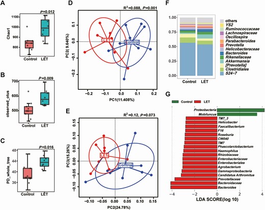 Characteristics of the gut microbiota in PCOS model mice. Comparison of the stool microbiome between letrozole (LET)-induced PCOS model mice and controls (PCOS model mice: 8; controls: 9). (A-C) α-diversity of the microbiota in the feces. Data are presented as the mean ± SEM, P < 0.05, Wilcoxon rank-sum test. (D, E) Two-dimensional plot of PCoA for the microbiota. (F) The gut microbiota average relative abundance of the predominant bacterial taxa at the genus level. (G) Differentially abundant taxa identified using LEfSe analysis, P < 0.05, Kruskal-Wallis rank sum test. PCoA, principal coordinate analysis; PCOS, polycystic ovarian syndrome; SEM, standard error of the mean.
