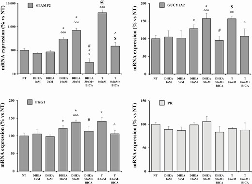 mRNA expression of androgen responsive genes and PR in human vagina hSMCs. The figure shows the mRNA expression of PKG1, GUCY1A2, STAMP2, and PR in human distal vaginal hSMCs derived from laparoscopic biopsies. Data were calculated according to the 2–ΔΔCt comparative method, using ribosomal subunit 18S as the housekeeping gene for normalization. Results are reported as mean ± SEM of 3 independent experiments performed in triplicate. °P < .05, °°°P < .001 vs NT; *P < .05 all lower DHEA doses (nM); #P < 0.01 vs DHEA 30 nM; @P < 0.01 vs all DHEA treatments; $P < .05 vs DHEA 30 nM+ bicalutamide; ^P < 0.01 vs T 0.6 nM.