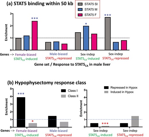 Enrichment of STAT5 binding sites (A) and hypophysectomy response class (B) for the sets of genes induced or repressed by STAT5CA. (A) Data are shown for STAT5 binding sites that are male-biased (M; 1765 sites), female-biased (F; 1790 sites), and sex-independent (SI; 11 531 sites), as previously defined by ChIP-seq (9), and mapped to their target genes (nearest gene within 50 kb). Enrichments are expressed as the ratio of STAT5CA-responsive genes compared with STAT5CA-unresponsive genes that are associated with each of the 3 sets of STAT5 binding sites (see box at top). (B) Enrichment of class I or class II sex-biased genes (left) and sex-independent genes (right) in the STAT5CA-responsive gene sets, expressed as the ratio of the number of STAT5CA-responsive genes compared to the number of STAT5CA-unresponsive genes in each class (left) or that are induced or repressed by hypophysectomy (right). Significance was determined by Fisher exact test: *P < 0.05, ***P < 0.001. Asterisks above the dashed line indicate significant enrichment; red asterisks below the dashed line indicate significant depletion (values < 1).