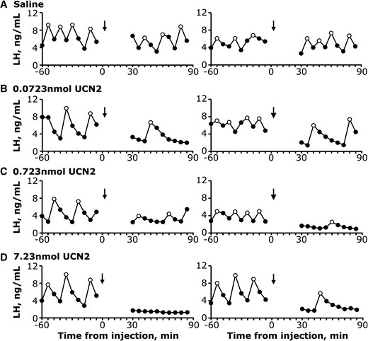 Representative LH pulse profiles measured in serial tail-tip blood samples before and after i.c.v. injection from each group of OVX mice: A, saline; B, 0.0723 nmol UCN2; C, 0.723 nmol UCN2; and D, 7.23 nmol UCN2. Time of i.c.v. injection occurred under brief isoflurane anesthesia and is indicated by the arrow. Open data points designate LH pulses identified by PULSAR Otago.