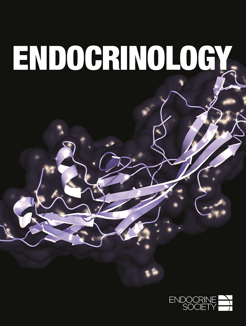 issue cover
