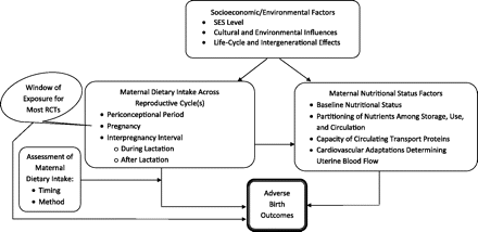 Conceptual framework for studying associations between maternal nutrition and adverse birth outcomes. This framework 1) takes into account the influence of socioeconomic status (SES)/environmental factors on maternal dietary intake across single and multiple reproductive cycles and on maternal nutritional status as possible mediators of the association with adverse birth outcomes; 2) interprets the effects of randomized controlled trial (RCT) interventions on adverse birth outcomes in light of their timing/duration within the reproductive cycle(s) and of the broader socioeconomic/environmental context; and 3) accounts for the effect of the timing and method of dietary assessment as a potential mediator of the association between maternal dietary intake and adverse birth outcomes.