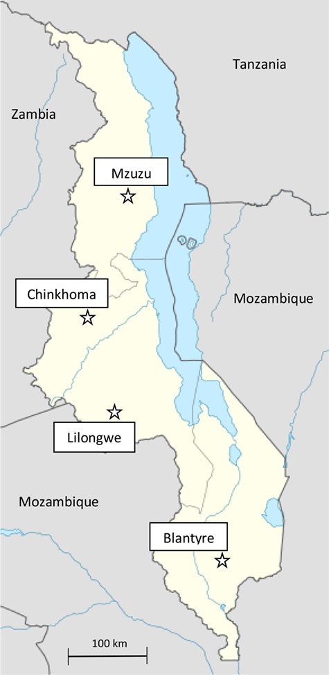 Tobacco auction floors in Malawi.