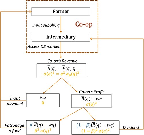 Profit and risk sharing between the risk averse producer and the intermediary. Co-op generates revenue $R\left( q \right)$ from selling processed products into a downstream market with amount q and uncertain price $p\left( q \right)$, which has mean $\bar P\left( q \right)\,\,$and variance$\,{\sigma _p}{\left( q \right)^2}$. The co-op’s profit is derived after paying the input payment to the farmer. Co-op’s sharing rule distributes the profit along with the associated risk between the farmer and intermediary via patronage refund and dividend, respectively. The patronage refund ratio is denoted by $\beta $.