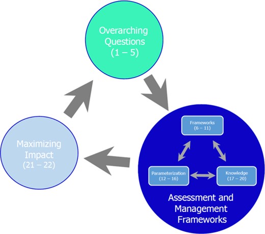 Broad categorization of the 22 priority questions, showing the interlinkages between the questions.
