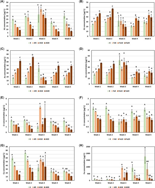 Mean concentration (micrograms per liter) of nickel (A, B), arsenic (C, D), chromium (E, F), copper (G), and iron (H) in porewaters of Al water‐treatment residual (WTR) and Fe WTR treated Kettering loam soil. Letters indicate analysis of variance groupings. Error bars display 1 standard error.