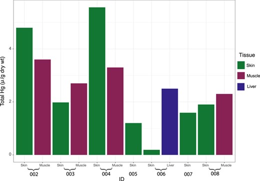 Total Hg levels in 7 killer whales (Orcinus orca) stranded or by‐caught in northern Norway, 2015 to 2017.