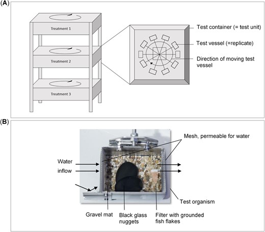 Schematical description of the developed test system. Test cages circulate inside a test container to create a target flow (A). Photo of a single test cage; arrows show the direction of the water flow (B).
